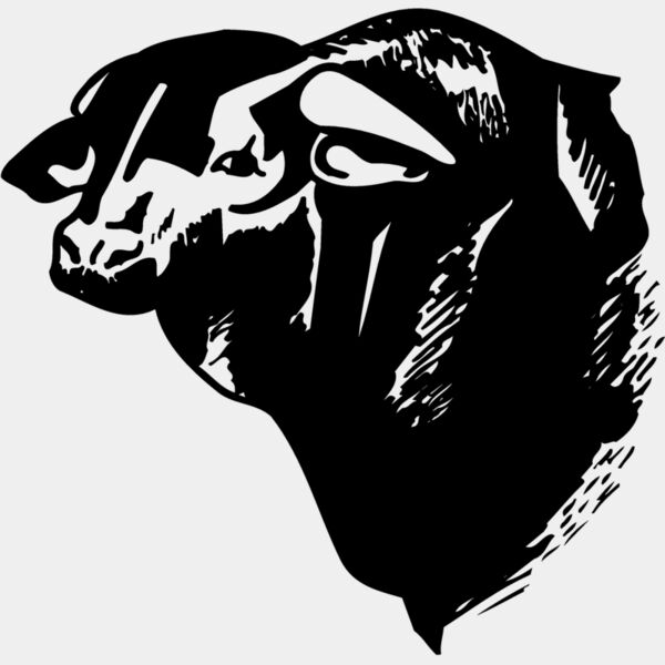 COW007 Thumbnail