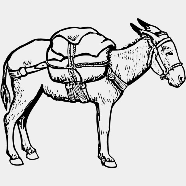 BURRO012 Thumbnail