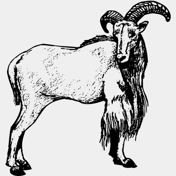 RAM001 Thumbnail