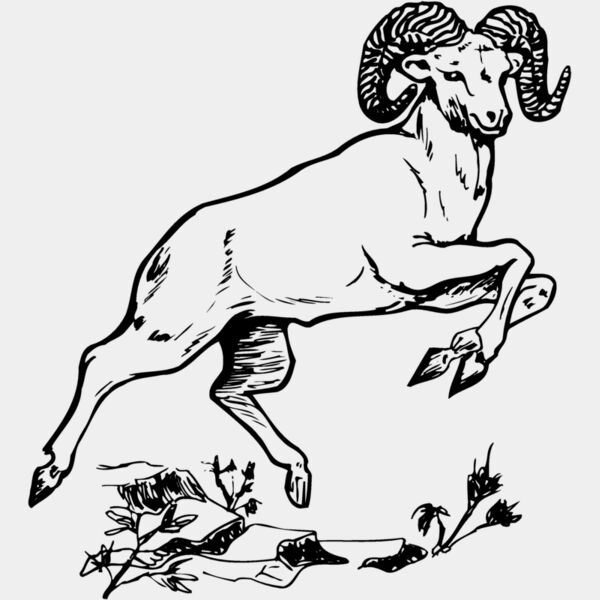 RAM014 Thumbnail