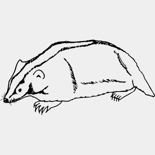 BADGER06 Thumbnail