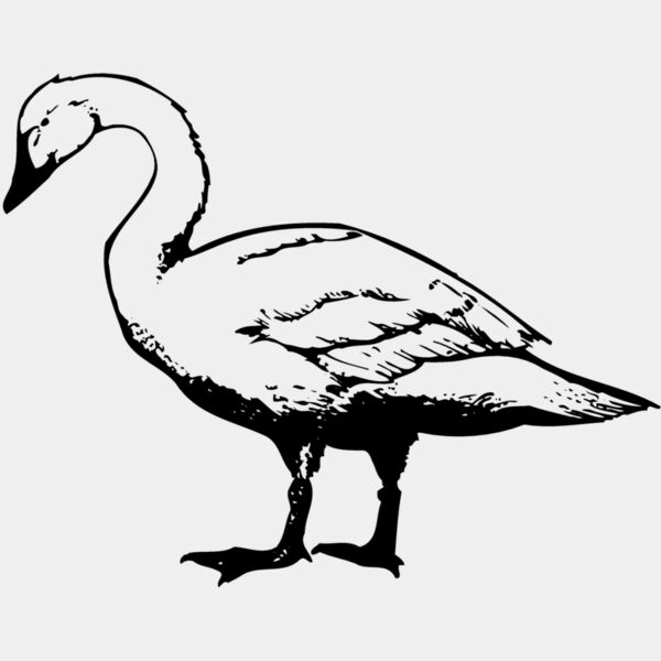 BIRD095 Thumbnail