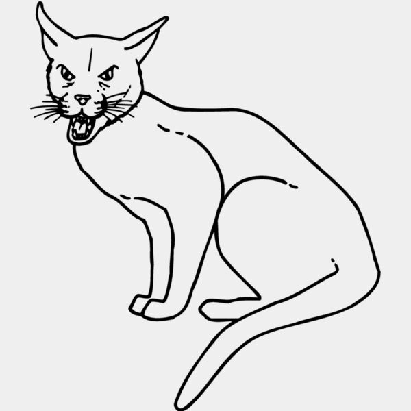 CAT21 Thumbnail