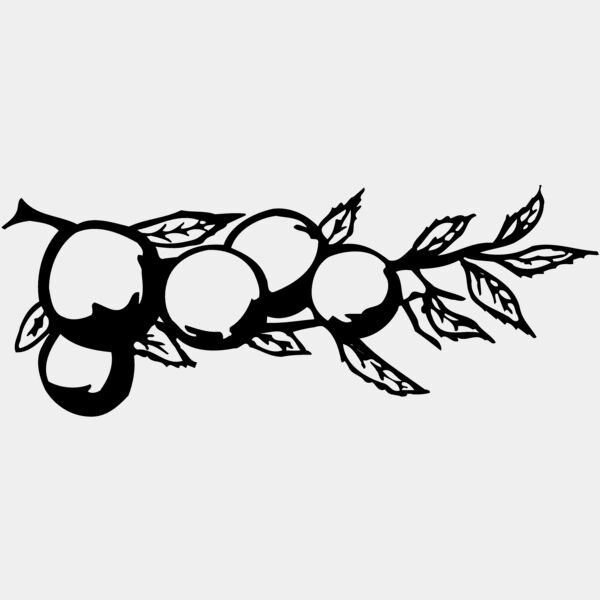 FRUIT028 Thumbnail