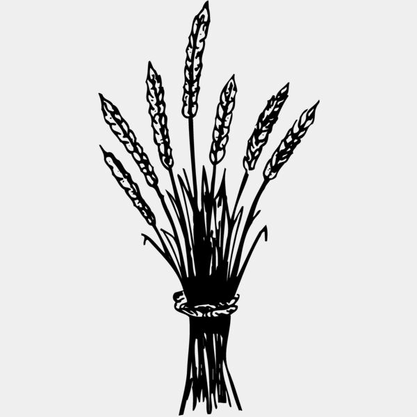 GRAIN008 Thumbnail