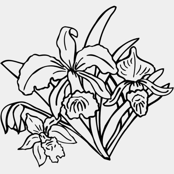 FLOWER18 Thumbnail