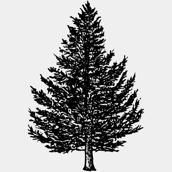 TREE0005 Thumbnail